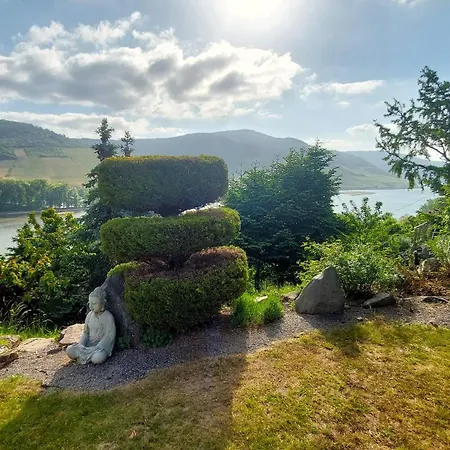 Maerchenhain Am Mittelrhein - Rheinblick, Terrasse & Garten, 2 Schlafzimmer Und 2 Baeder Niederheimbach